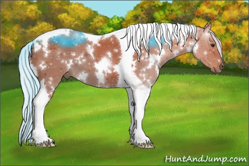 Horse Color:White Spotted Silver Brown Tobiano 
