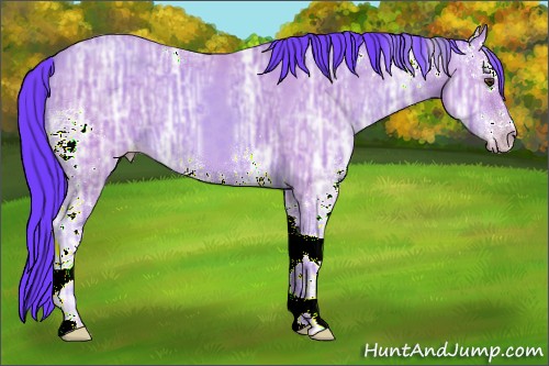 Horse Color:Watercolor White Spotted Classic Champagne Ice 