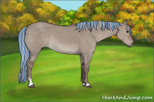Horse Color:Painted Silver Grullo Mushroom Sabino 