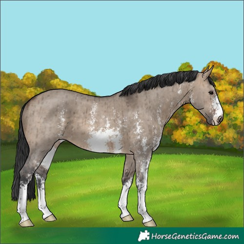 Horse Color:Brown Dun Sabino Brindle