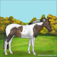 Horse Color:Brown Dun Tobiano Brindle 