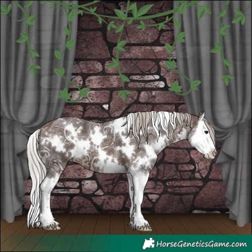 Horse Color:White Spotted Silver Brown Ice Splash