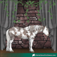 Horse Color:White Spotted Silver Brown Ice Splash 