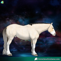 Horse Color:Buckskin Roan Splash 
