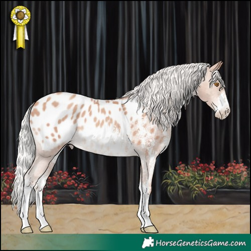 Horse Color:Silver Classic Champagne Sabino Blanket 