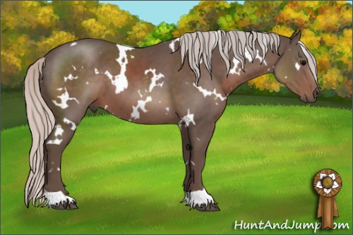 Horse Color:White Spotted Silver Black 
