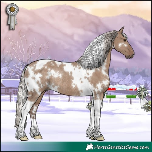 Horse Color:White Spotted Silver Grullo Tobiano Rabicano 