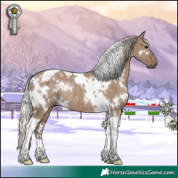 Horse Color:White Spotted Silver Grullo Tobiano Rabicano 