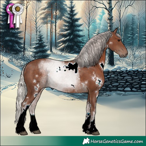 Horse Color:White Spotted Silver Black 