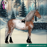 Horse Color:White Spotted Silver Black