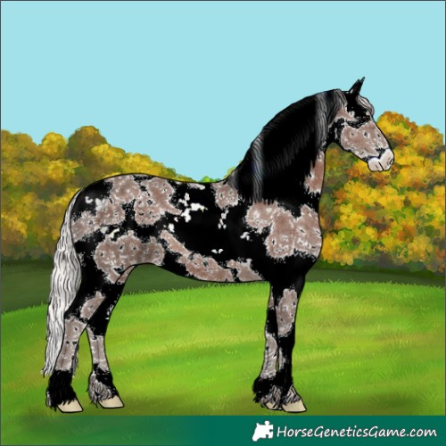 Horse Color:White Spotted Silver Black Ice Sabino 