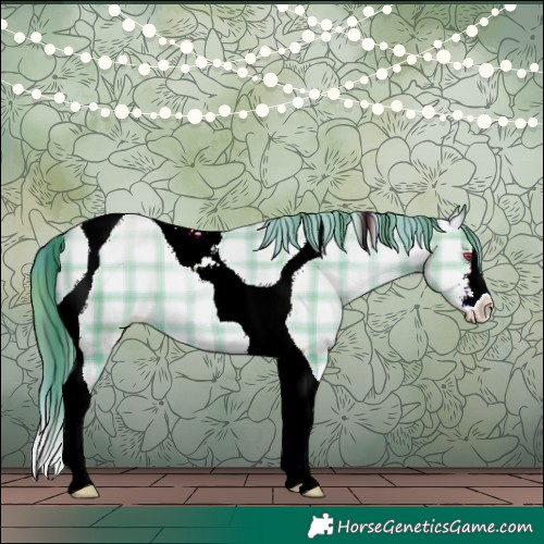 Horse Color:Plaid  White Spotted Grullo Chinchilla Pearl Tobiano 
