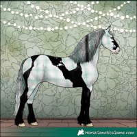 Horse Color:Plaid White Spotted Grullo Chinchilla Pearl Tobiano