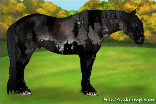 Horse Color:Void Platinum Brown Sabino Splash Tobiano 