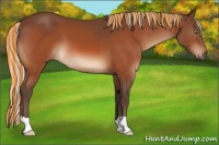 Horse Color:Painted Silver Bay 