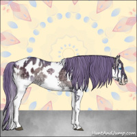Horse Color:Watercolor Blue Onyx Ice Splash Tobiano Appaloosa 