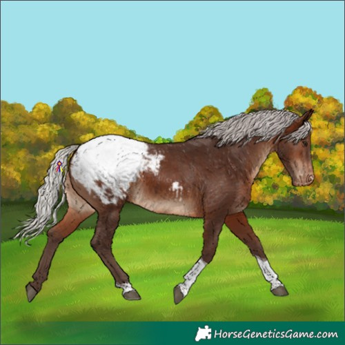 Horse Color:Silver Brown Tobiano Snowcap 