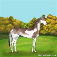 Horse Color:Liver Chestnut Mushroom Splash 