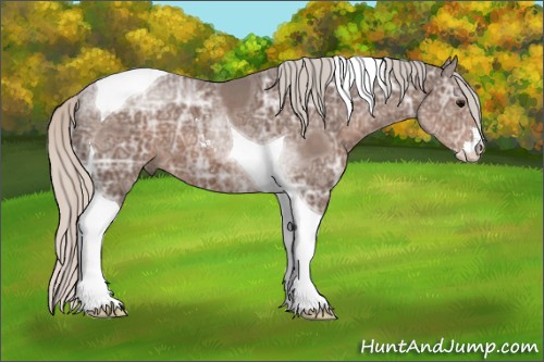 Horse Color:Silver Black Ice Sabino Tobiano 