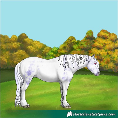 Horse Color:Watercolor White Spotted Silver Grullo Chinchilla Ice Tobiano 