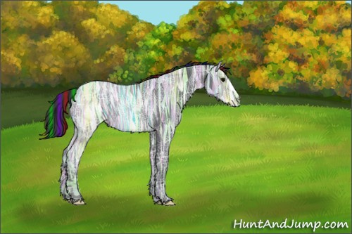 Horse Color:Painted Black Ice Rabicano