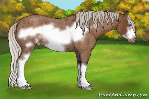 Horse Color:Silver Buckskin Roan Sabino Splash Frame Rabicano 