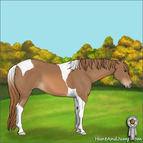 Horse Color:Chestnut Tobiano 