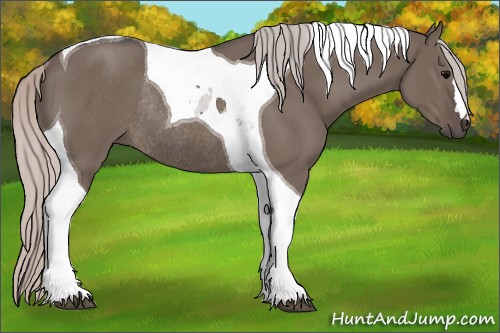 Horse Color:Silver Grullo Tobiano Rabicano 