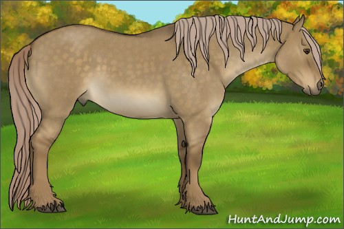 Horse Color:Chocolate Palomino Roan Dun 