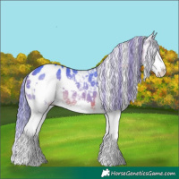 Horse Color:Watercolor White Spotted Brown Splash Appaloosa Rabicano 