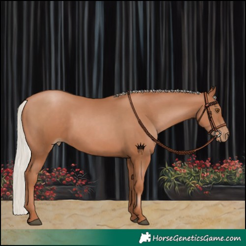 Horse Color:Silver Black Pearl 
