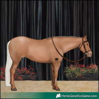 Horse Color:Silver Black Pearl 