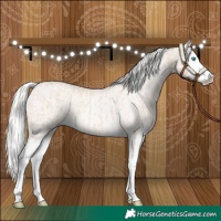 Horse Color:Cremello Splash  and Cremello Splash 