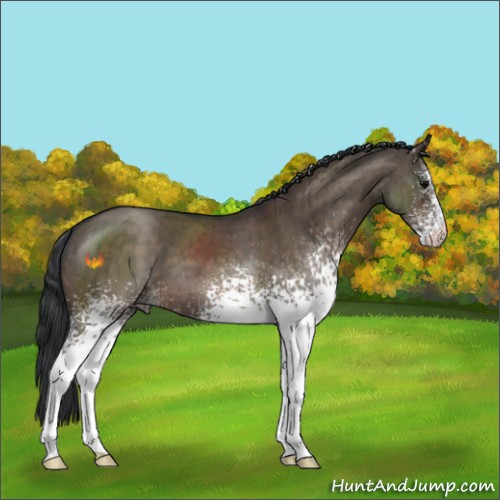 Horse Color:White Spotted Brown Dun Brindle 