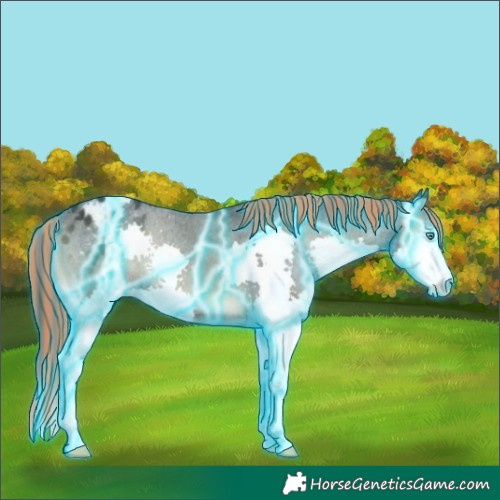 Horse Color:Painted Thunderstruck Blue Onyx Splash Appaloosa 