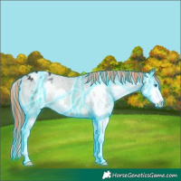 Horse Color:Painted Thunderstruck Blue Onyx Splash Appaloosa