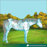Horse Color:Painted Thunderstruck Blue Onyx Splash Appaloosa 