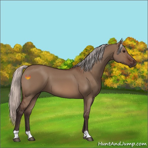 Horse Color:Silver Brown Dun 