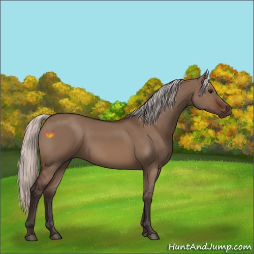 Horse Color:Silver Brown Dun 