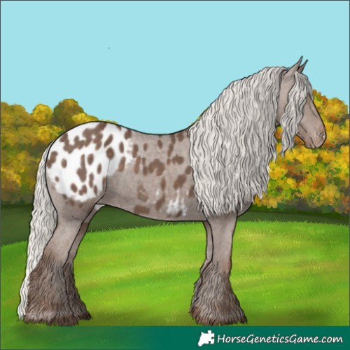 Horse Color:Silver Black Blanket 