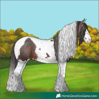 Horse Color:Bay Splash Tobiano Varnish 