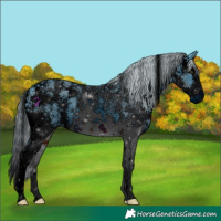 Horse Color:ERROR: UNKNOWN ANOMALY