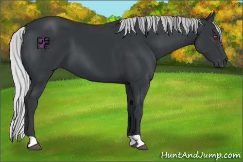 Horse Color:Silver Black Chinchilla 