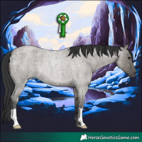 Horse Color:Grullo Roan 