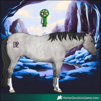 Horse Color:Grullo Roan 
