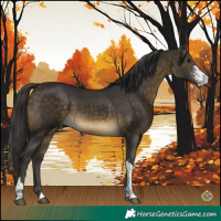 Horse Color:Buckskin Sabino Tobiano