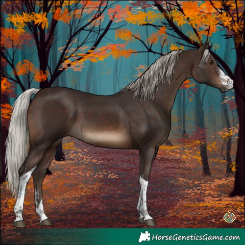 Horse Color:Silver Brown Sabino Tobiano 