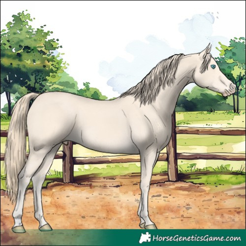 Horse Color:Perlino