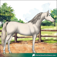 Horse Color:Perlino 