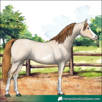 Horse Color:Red Dun Roan Splash Frame Rabicano 